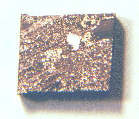 standby for abee photo