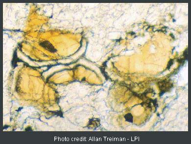 standby for alh 84001 carbonate photo
