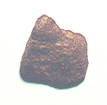 standby for auburn photo