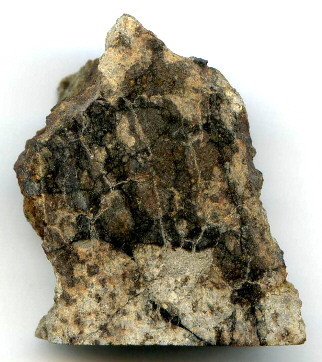 standby for beeler photo