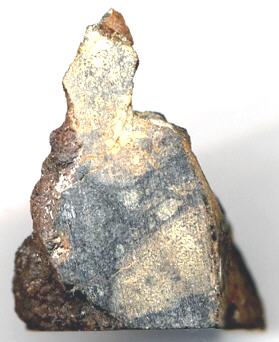 standby for bison photo