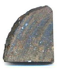 standby for brewster photo