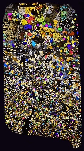 standby for selma ts photo