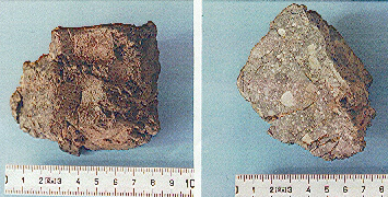 standby for dar al gani photo