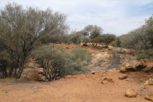 standby for dalgaranga photo