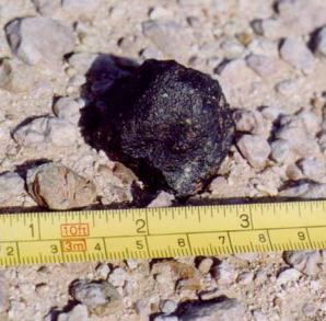 standby for dhofar 008 photo