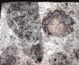 standby for dar al gani 430 photo