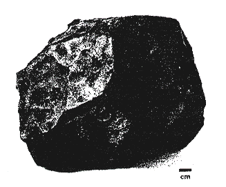 standby for grayton photo