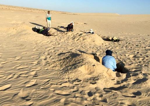 standby for desert holes photo