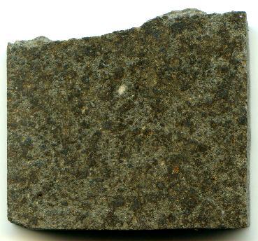 standby for isna photo