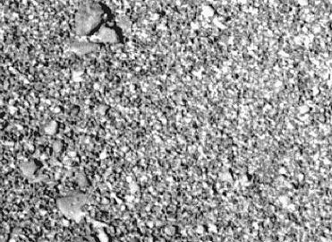 standby for itokawa photo