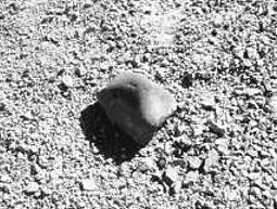 standby for itqiy photo