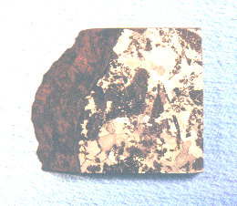 standby for landes photo