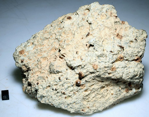 standby for nwa 12562 photo