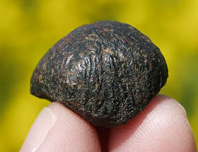 standby for nwa 6592 main mass photo