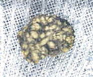 standby for northwest africa 1460 photo