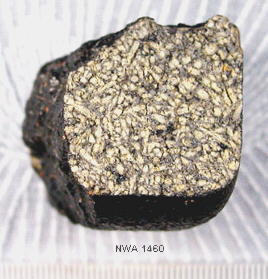 standby for northwest africa 1460 photo