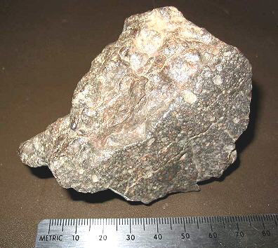 standby for northwest africa 1955 photo