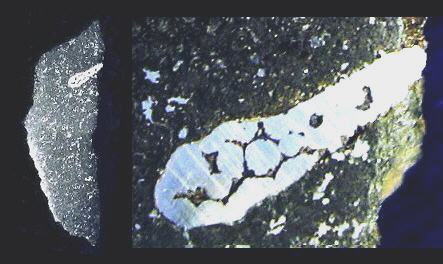 standby for nwa 2488 photo