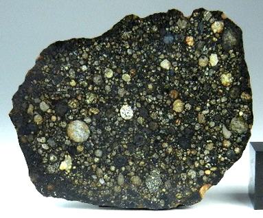 northwest africa 2798 photo