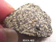 standby for northwest africa 480 photo