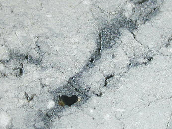 standby for nwa482 photo