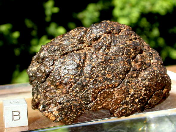 standby for nwa 6047 main mass photo