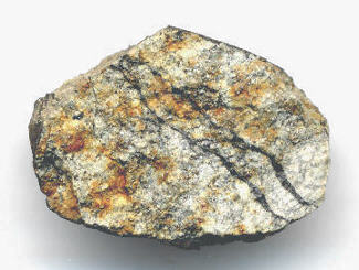 standby for park forest photo