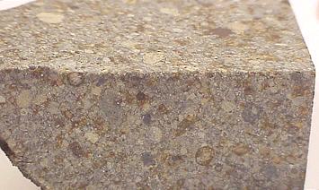 standby for parnallee photo