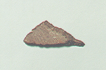 standby for reid 013 photo