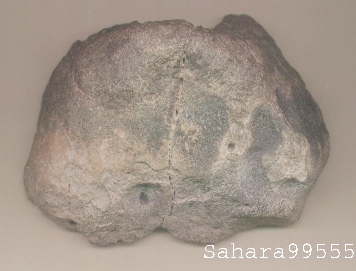 standby for sah 99555 photo
