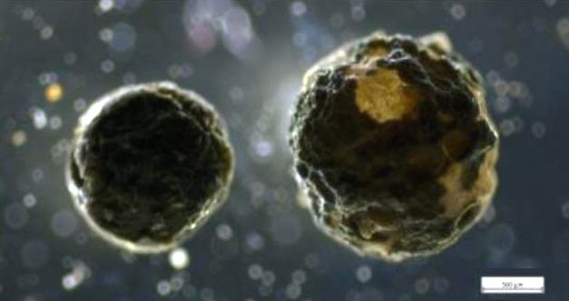 standby for shell creek spherule photo