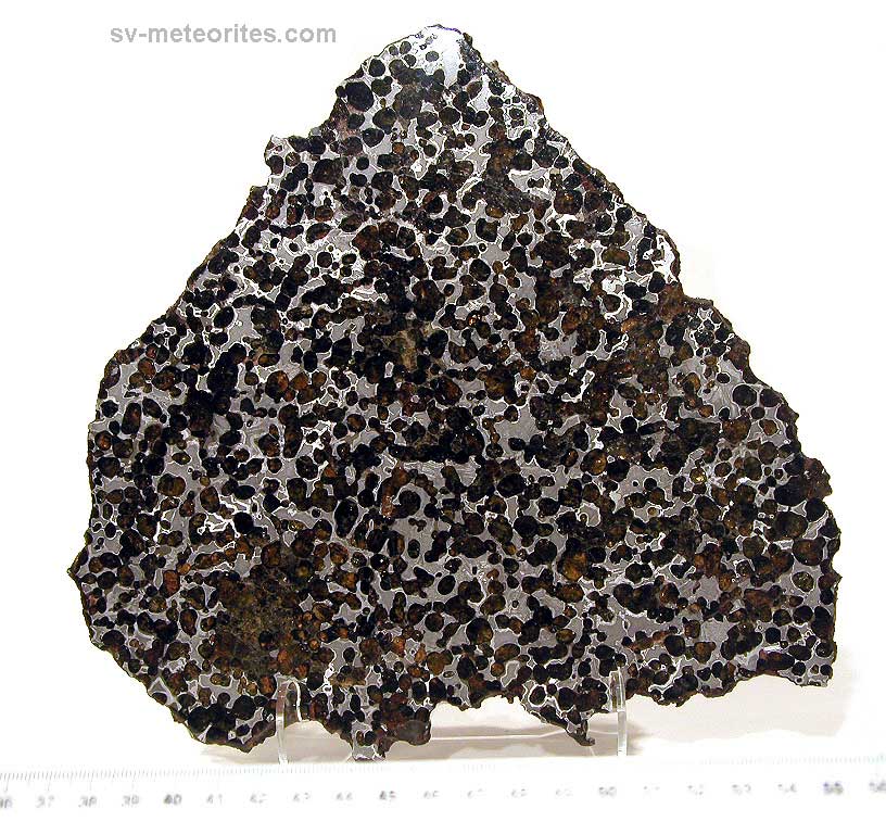 standby for springwater photo