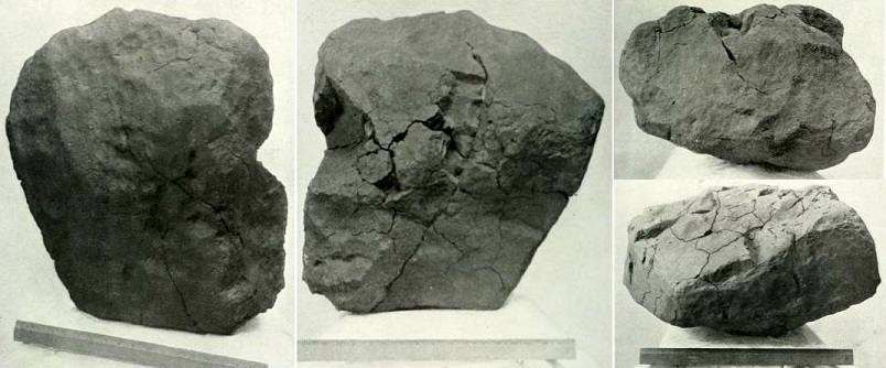 standby for selma mm photos