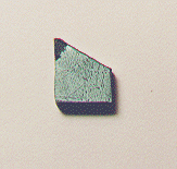 standby for tazewell photo