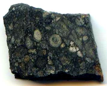 standby for vigarano photo