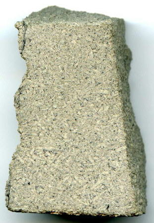 standby for zagami photo