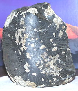 standby for bilanga photo