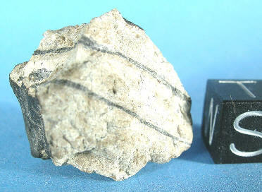 standby for bilanga photo