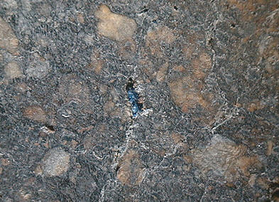 standby for zag salt photo