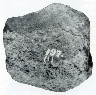 standby for kakangari photo