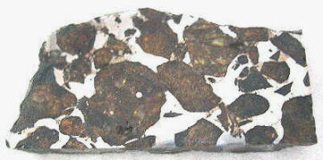 standby for santa rosalia photo