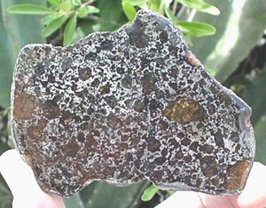 standby for milton photo