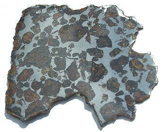 standby for dora photo