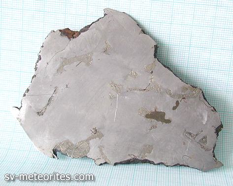 standby for la primitiva photo