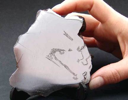 standby for guanaco photo