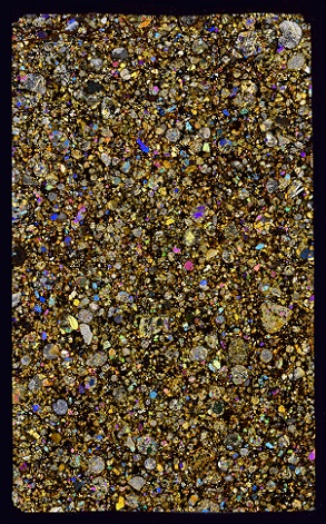 standby for selma ts photo