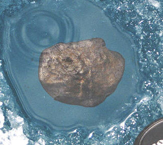 standby for tagish lake in situ photo