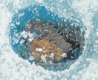 standby for tagish lake in situ photo