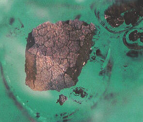 standby for tagish lake in situ photo